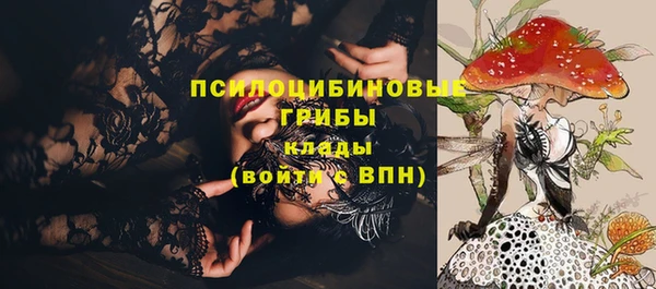 мескалин Арсеньев