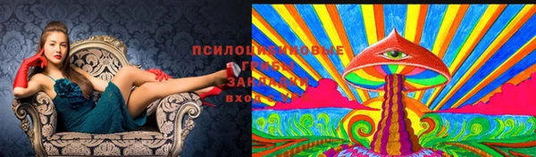мескалин Арсеньев