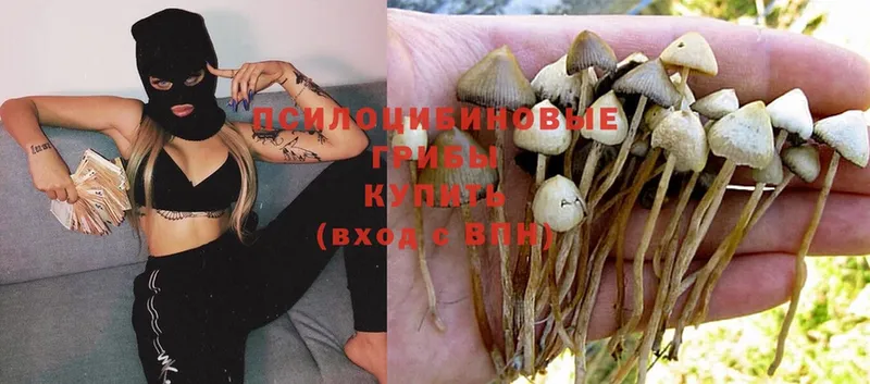 omg сайт  Демидов  Псилоцибиновые грибы MAGIC MUSHROOMS 